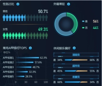 京東數(shù)科開發(fā)區(qū)商業(yè)街客流洞察大屏UI設(shè)計(jì)（保密）